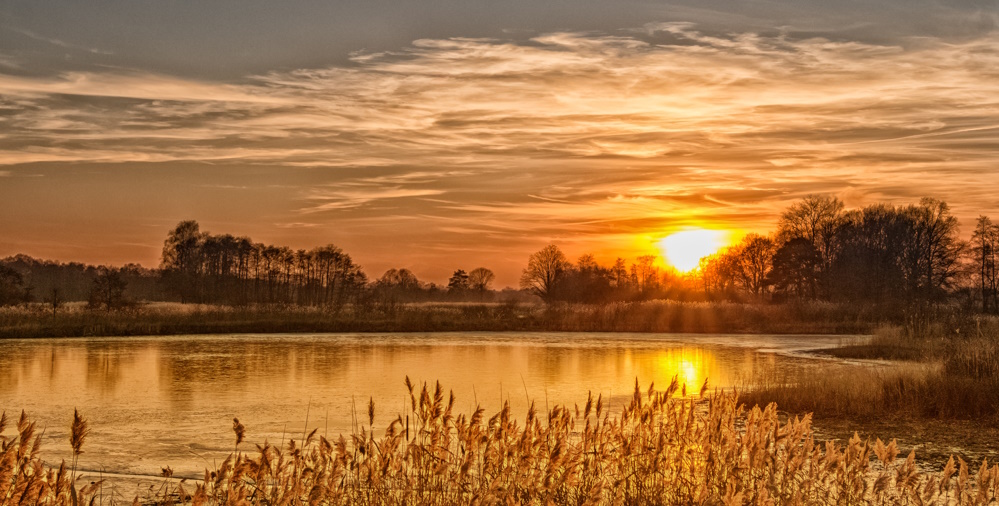 een bungalow in limburg kopen